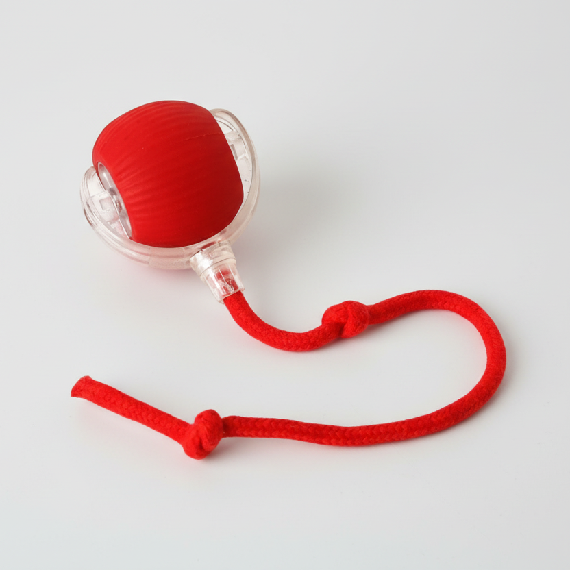 Interactieve Rollende Honden Bal
