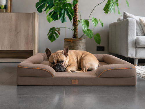 Orthopedisch Ergonomische Hondenbed
