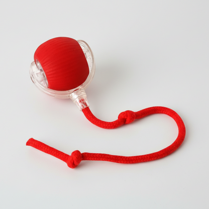 Interactieve Rollende Honden Bal