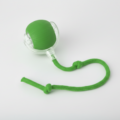 Interactieve Rollende Honden Bal