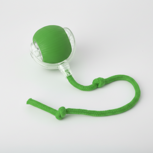 Interactieve Rollende Honden Bal