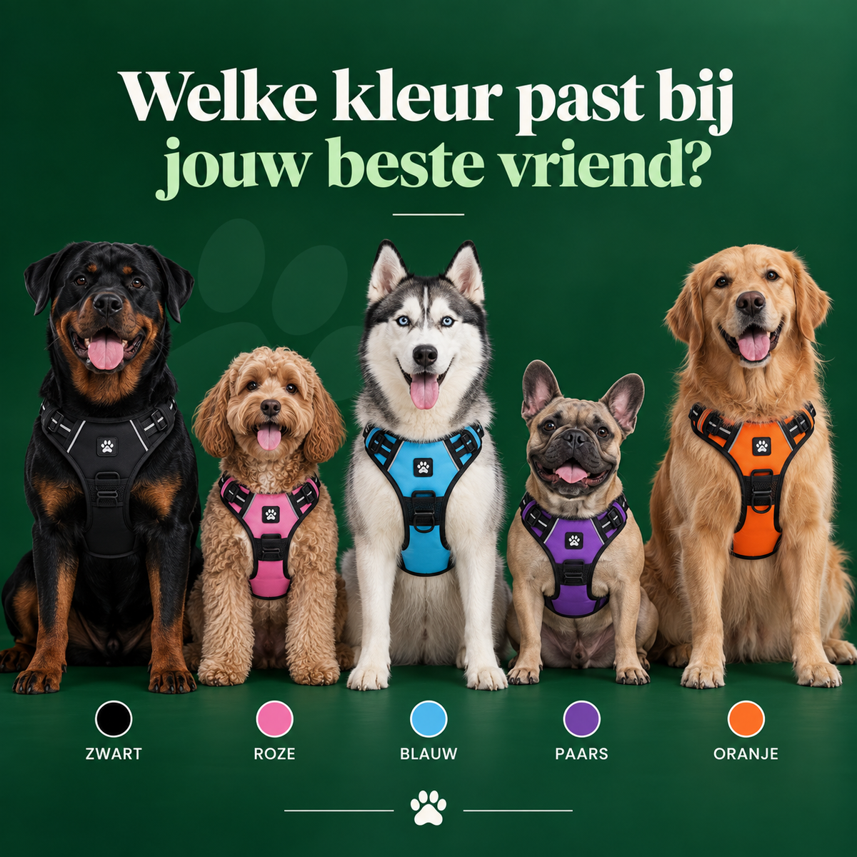TrekStop - Anti-trek Hondentuig met Gratis Riem